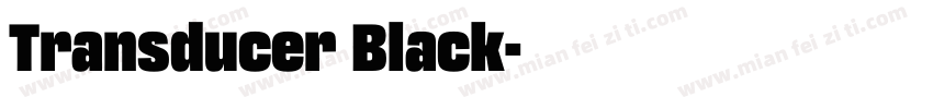 Transducer Black字体转换